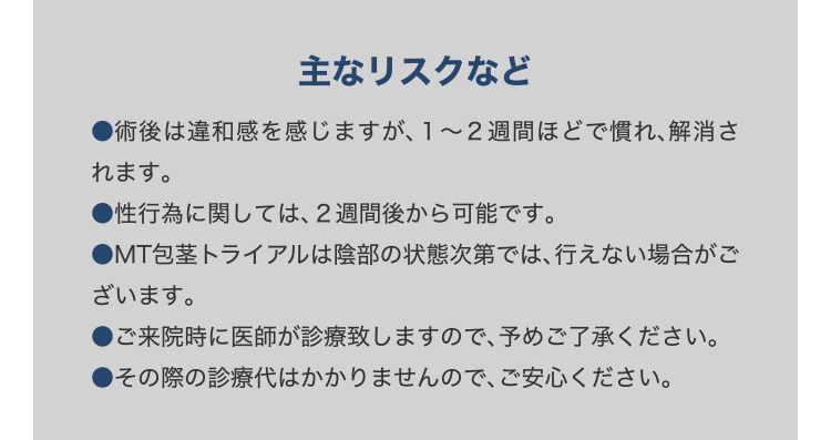 主なリスクなど